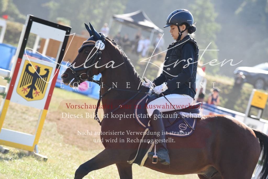 DSC_5809 | Pferde- und Turnierfotografie in Westsachsen. Pferdeportraits, Auftragszeichnungen und intuitive Kunst.
