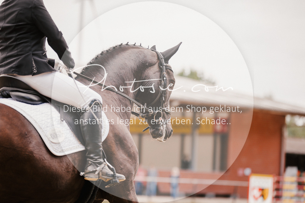 3I6A5991 | Stimmungsvolle Portraits und Reitsportfotografie im Ruhrgebiet und im Münsterland.

Pferdefotografie, Hundefotografie, Tierfotografie, Reportagen, Portraits von Tier und Mensch, Turnierfotografie in Bochum, Recklinghausen, Marl, Haltern am See, Dülmen.. - Realisiert mit Pictrs.com