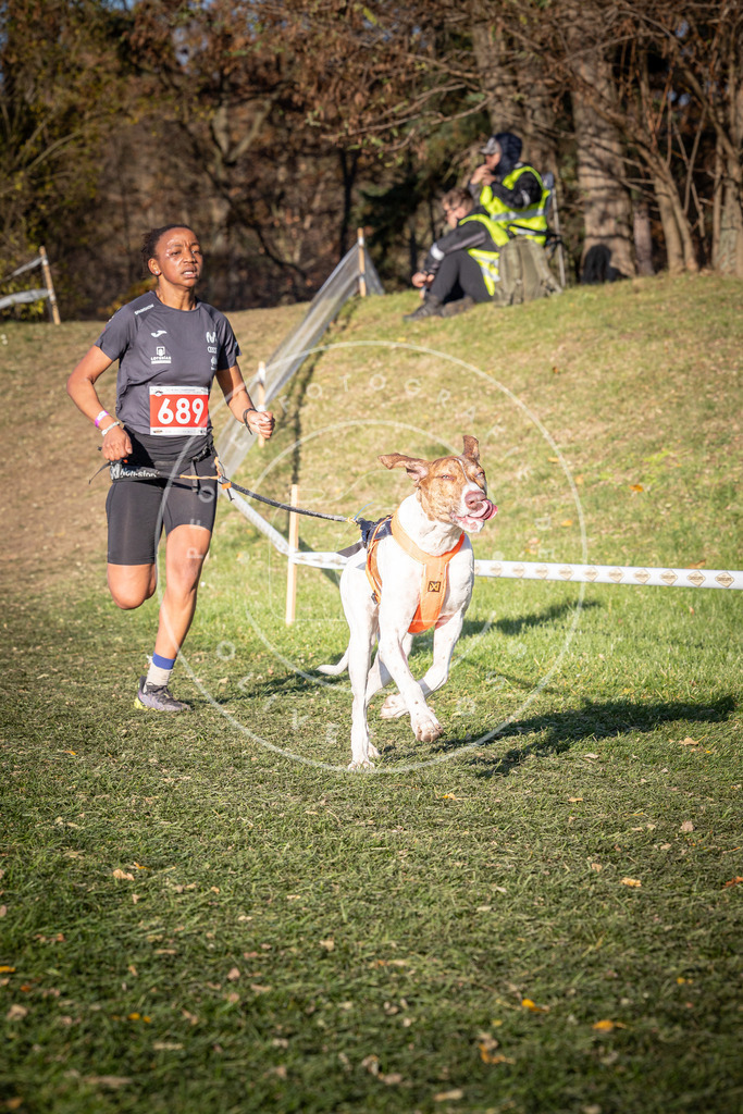 CaniXpix_0L8A9325 | Hundefotografie, Tierfotograf, Pfotenfotografie, Fotoshooting Hund, Hunde Portrait, Hundesport, Hundeportraits, Heideshooting, Hunde, Sportfotograf, Hundefotograf, Turnierhundsport, THS,  - Realisiert mit Pictrs.com