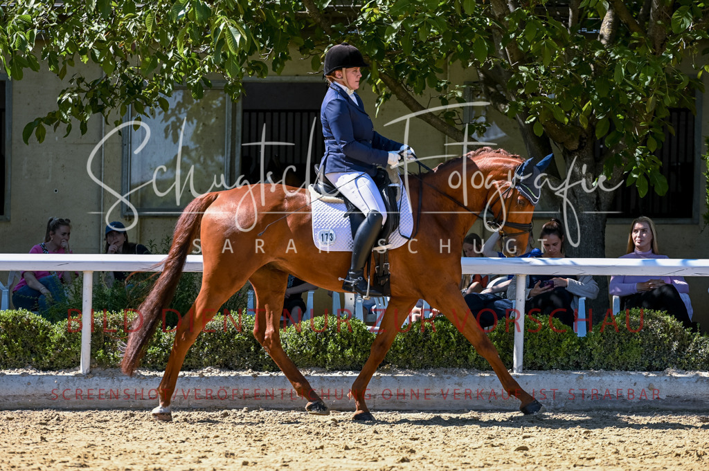 Schugtsche-Aluta25-50.Dressurpferdeprf.L-112 | Schugtsche Fotografie - Realisiert mit Pictrs.com