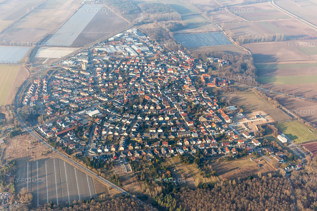 Luftbild: Ortsansicht der Hufeisenförmig angelegten Straßen und Häuser der Wohngebiete im Ortsteil Hüttenfeld in Lampertheim im Bundesland Hessen in Deutschland. Foto: IMG_096698.jpg vom 14.02.2017 durch Werner Riehm/FLY-FOTO.de