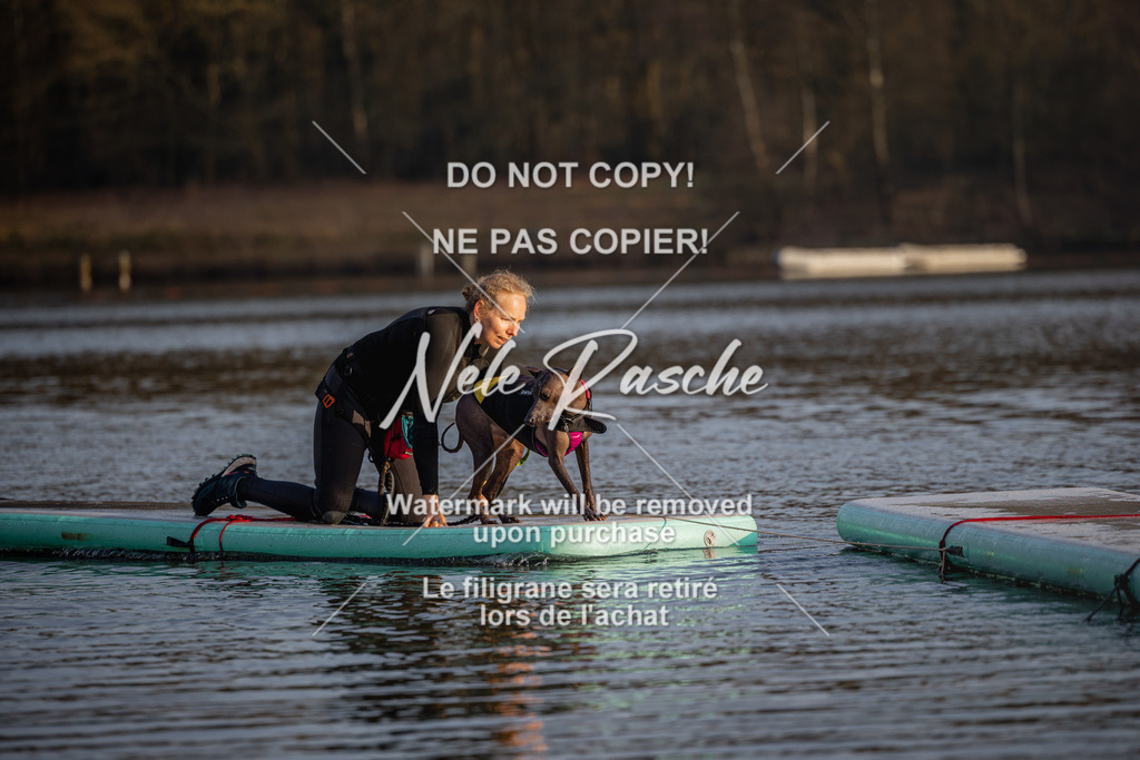 nelerasche_Hulsbeek_Sa1700-1730_188 | nelerasche
