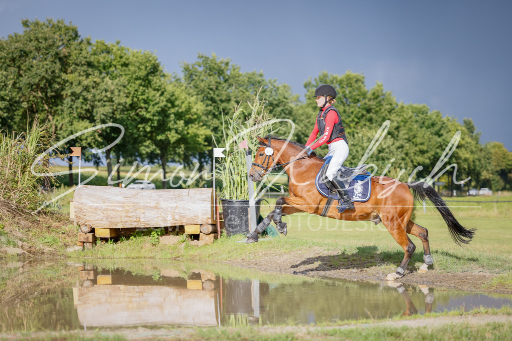 20250905-_3LI1821 | Tierfotografie Pferde, Hunde, Katzen, Haustiere.
Turnierfotografie Reitturniere, Reiten, Springreiten, Dressur in Hanau, dem Main-Kinzig-Kreis und dem Rhein-Main- Gebiet um Frankfurt