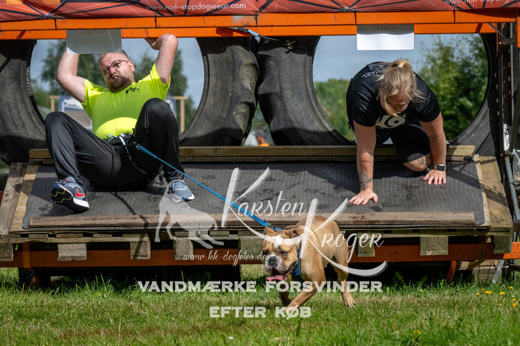 1132_ZZ92390 | kk-dogfotos