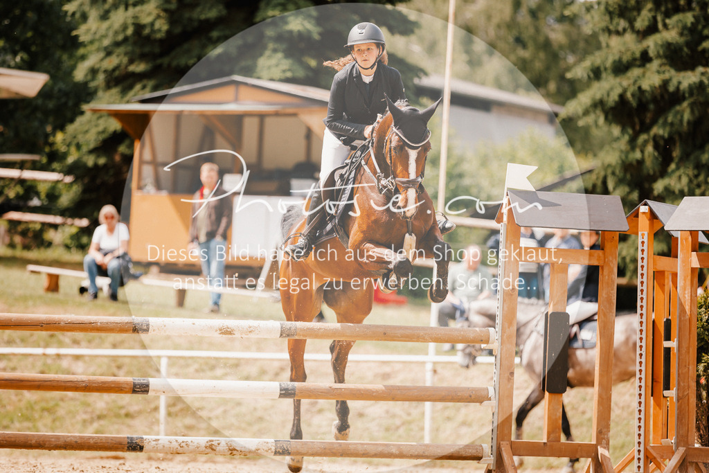 3I6A2352 | Stimmungsvolle Portraits und Reitsportfotografie im Ruhrgebiet und im Münsterland.

Pferdefotografie, Hundefotografie, Tierfotografie, Reportagen, Portraits von Tier und Mensch, Turnierfotografie in Bochum, Recklinghausen, Marl, Haltern am See, Dülmen.. - Realisiert mit Pictrs.com