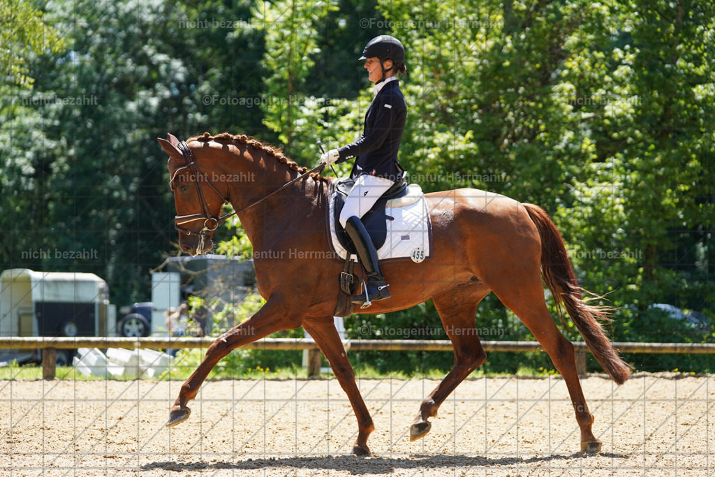 20240705-FAH04241 | Turnierbilder von Grafing, Reitsportbilder, Turnierfotos, Turnierfotografen Bayern, Pferdefotograf, Fotoagentur Herrmann