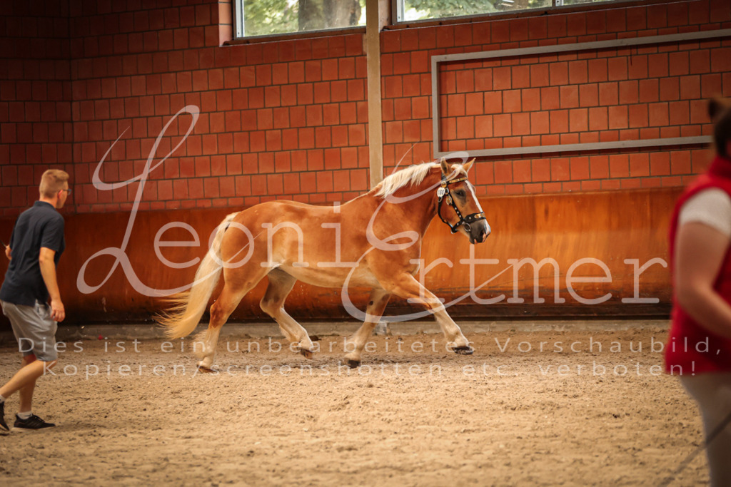 SaFL00222 | Leoni Ertmer Photography - Realisiert mit Pictrs.com