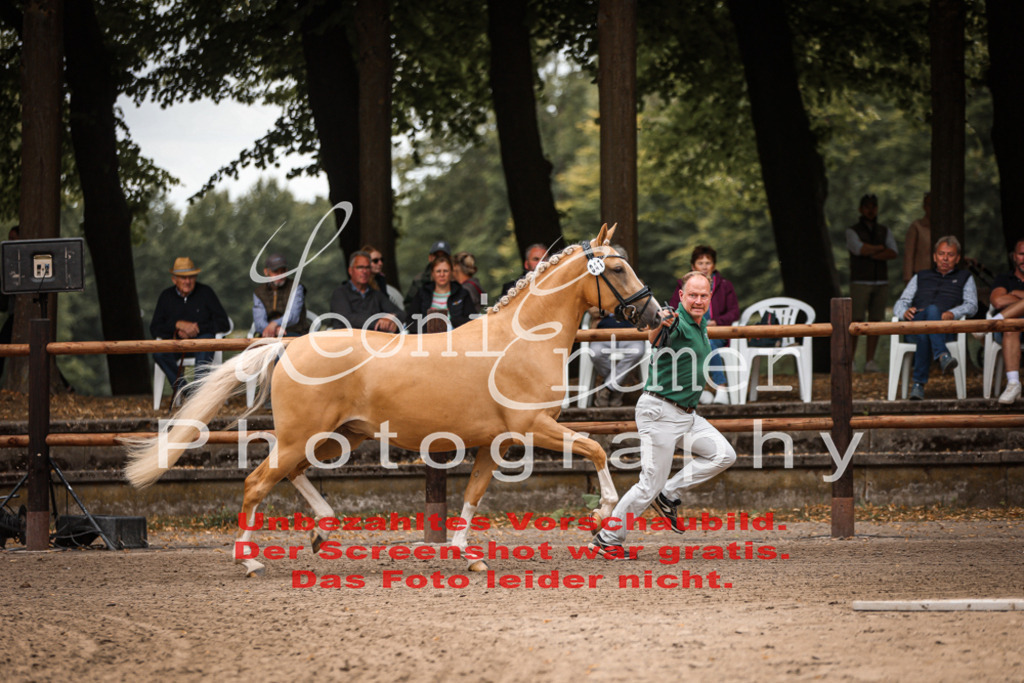 8.So00019 | Leoni Ertmer Photography - Realisiert mit Pictrs.com