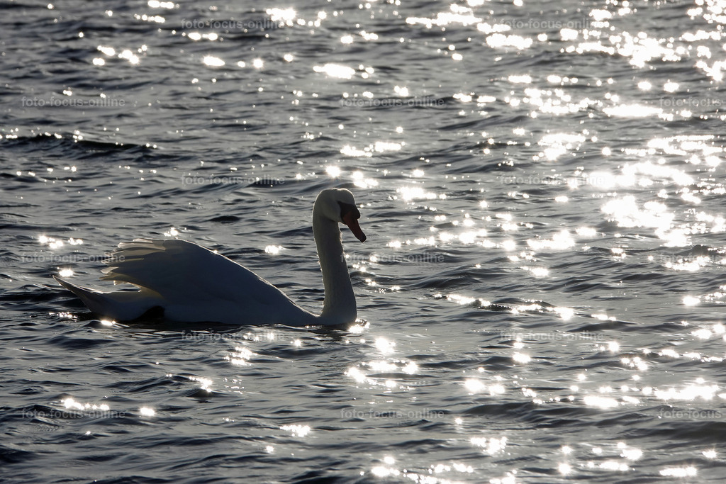 sun painting | foto-focus-online