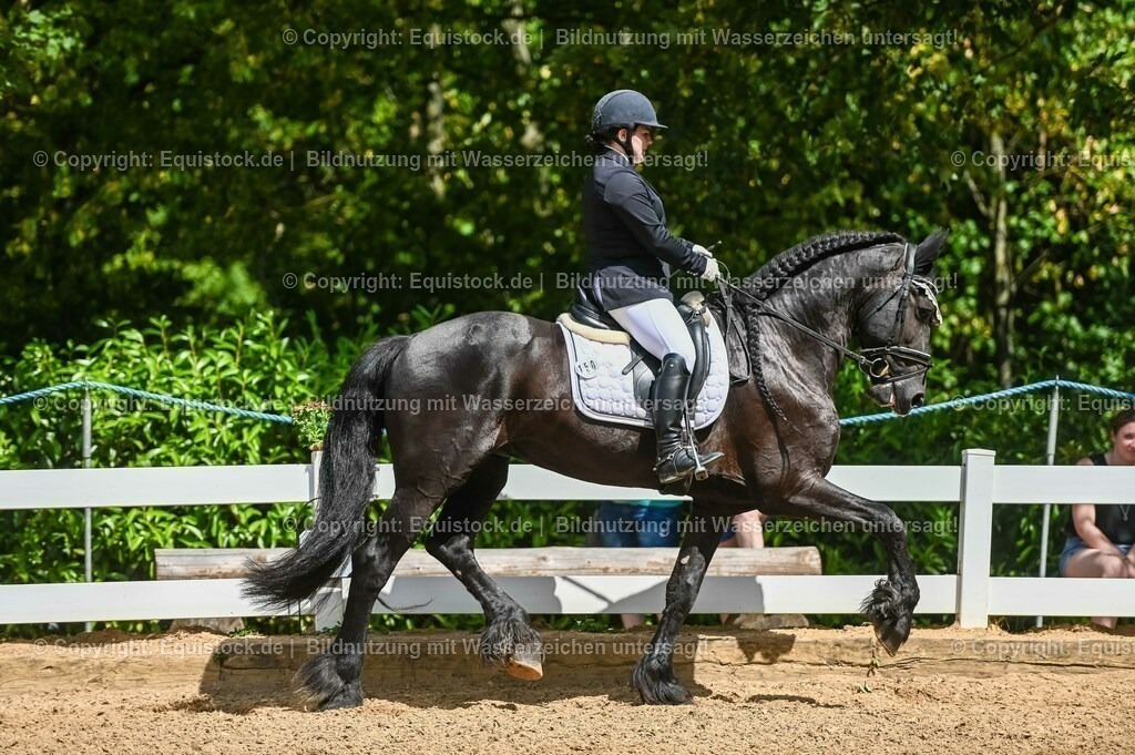 20230715_02_Dressurreiterprüfung Kl.L_0186 | equistock