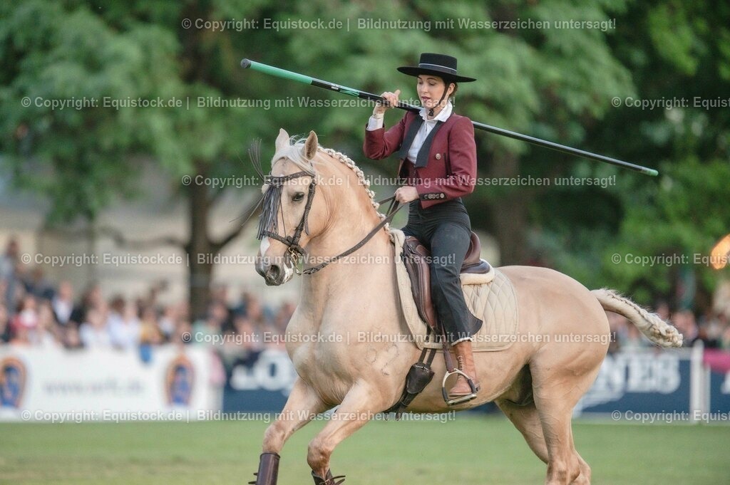 20230526_Pferdenacht_0755 | equistock