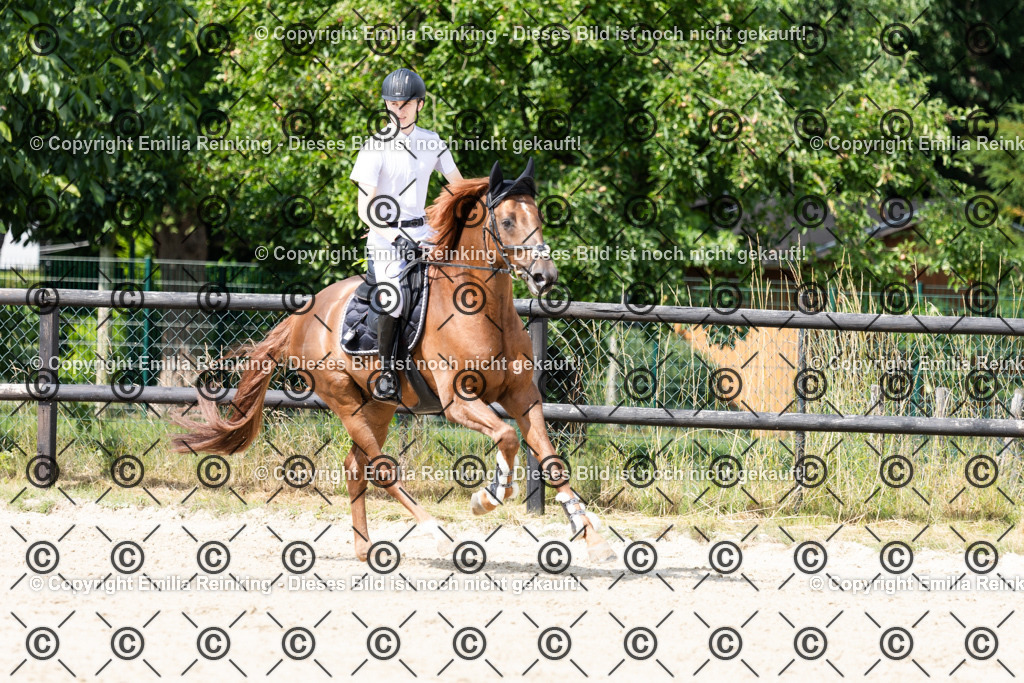 CL5A8581 | Emilia Reinking Fotografie - Realisiert mit Pictrs.com