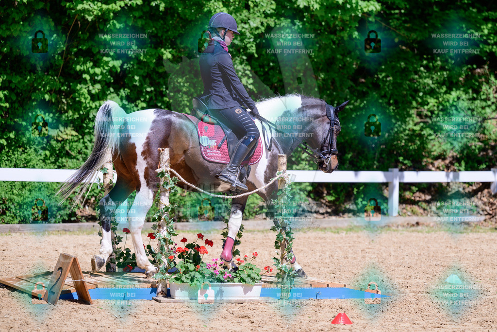 01052026-Giesenbach-02-Stiltrail-0197 | Fokus Hufschlag Fotografie - Realisiert mit Pictrs.com
