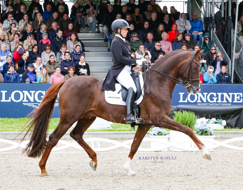 1B3A8283 | Reitsport Reiten