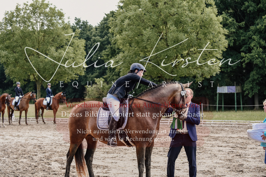DSC_9334 | Pferde- und Turnierfotografie in Westsachsen. Pferdeportraits, Auftragszeichnungen und intuitive Kunst.