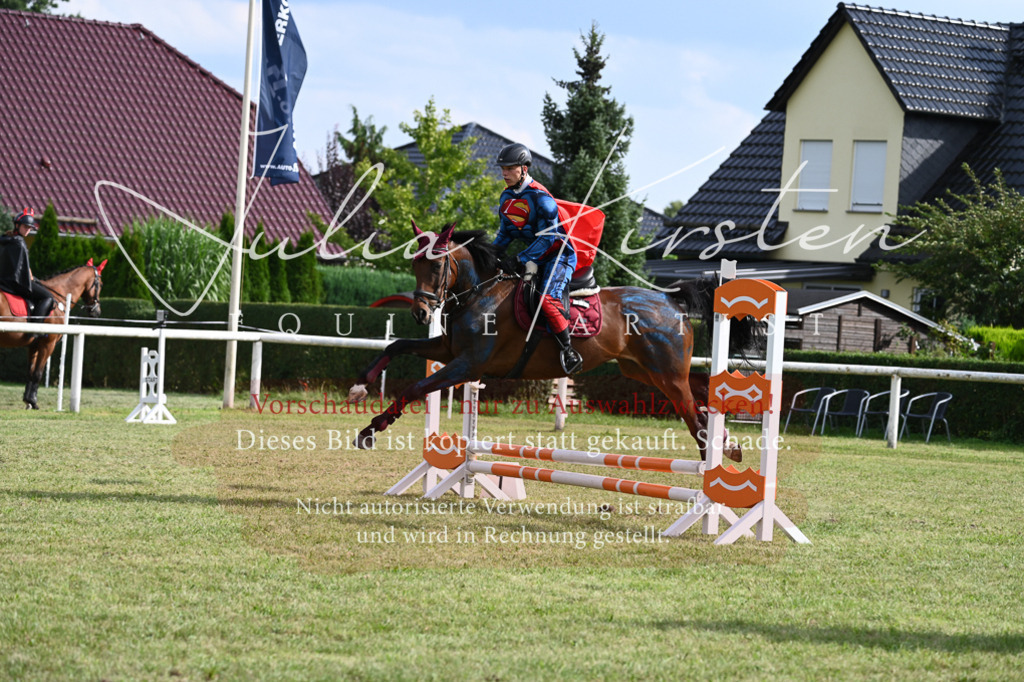 DSC_8843 | Pferde- und Turnierfotografie in Westsachsen. Pferdeportraits, Auftragszeichnungen und intuitive Kunst.