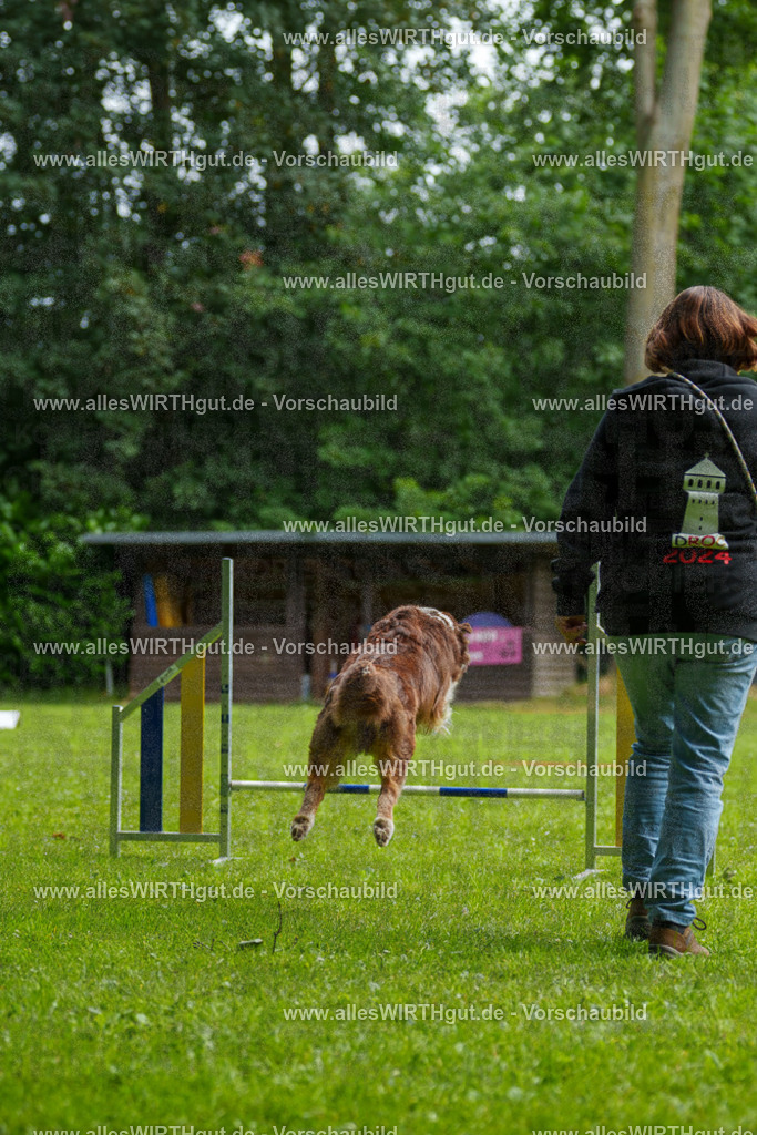 @allesWIRTHgut_Tierfotografie - www.allesWIRTHgut.de - 094539-7R507571 | Professionelle Tierfotografie in Mönchengladbach von Daniel Wirth (allesWIRTHgut). Liebevolle & natürliche Bilder von Hunden & Katzen für unvergessliche Erinnerungen.