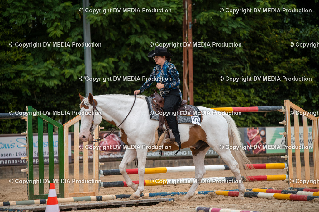 ZS2_7910 | dv-media-shop - Realisiert mit Pictrs.com