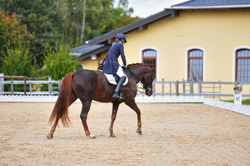 8_1-094-Klasse S_  -Marixx-4159 | working equitationturnier fotograf videograf stoibphotography marixx film working equitation deutschland reitsport turnierfotografie eventfotografie equestrian events