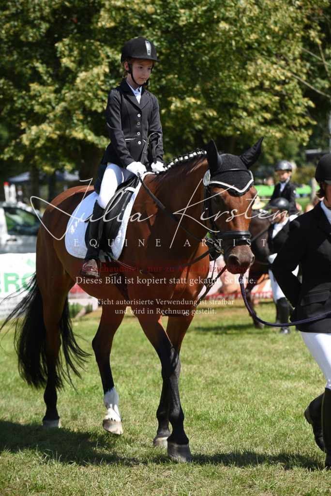 DSC_9775 | Pferde- und Turnierfotografie in Westsachsen. Pferdeportraits, Auftragszeichnungen und intuitive Kunst.
