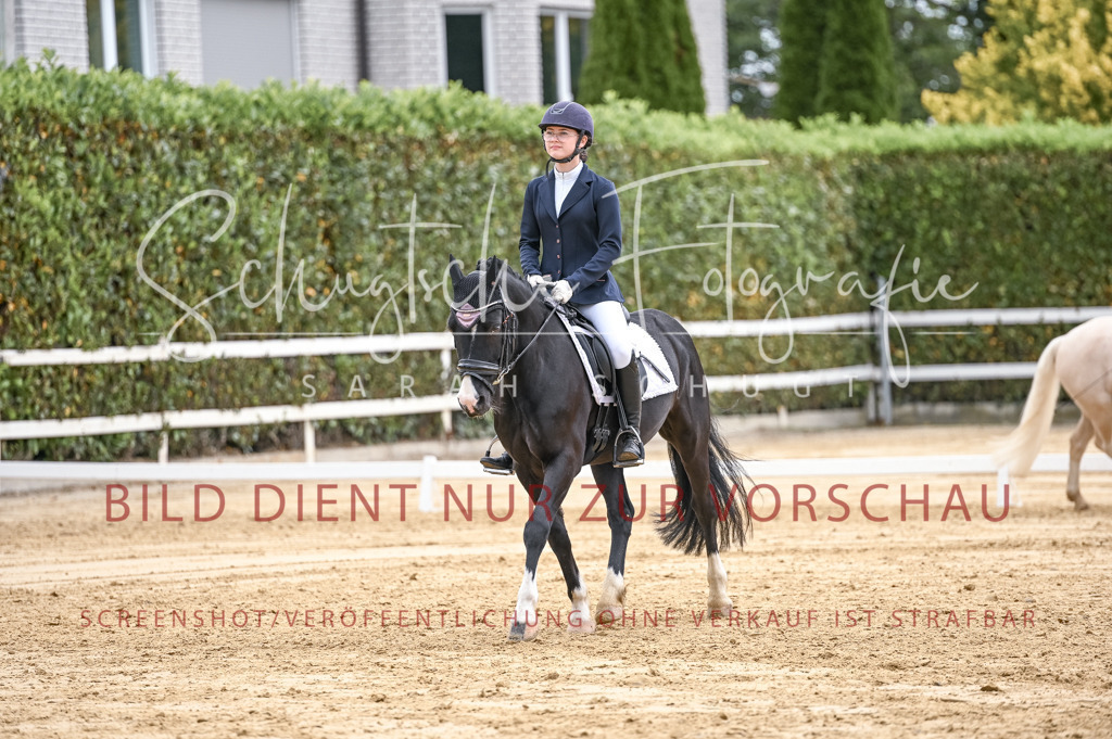 Schugtsche-Aluta25-42.EDressur -382 | Schugtsche Fotografie - Realizzato con Pictrs.com