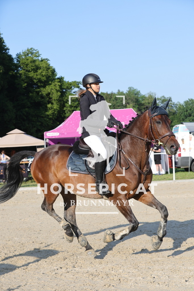 0P6A6905 | Willkommen bei Brunnmayr - Design & Fotografie – Ihrem Spezialisten für Reitturniere und Pferdeveranstaltungen in Oberösterreich, Salzburg und Bayern! Seit über 17 Jahren sind wir leidenschaftlich dabei.