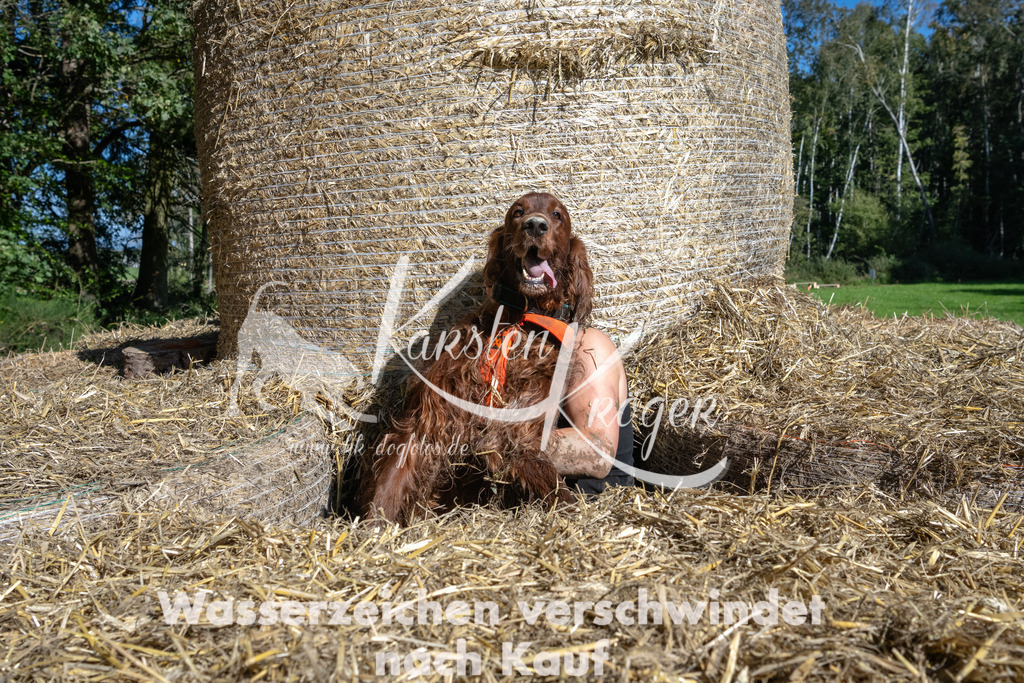 1205_ZZ90170-2 | kk-dogfotos