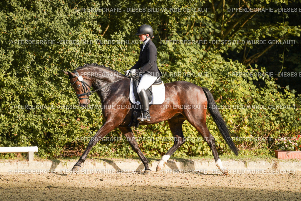 DSC05196 | Pferdegrafie