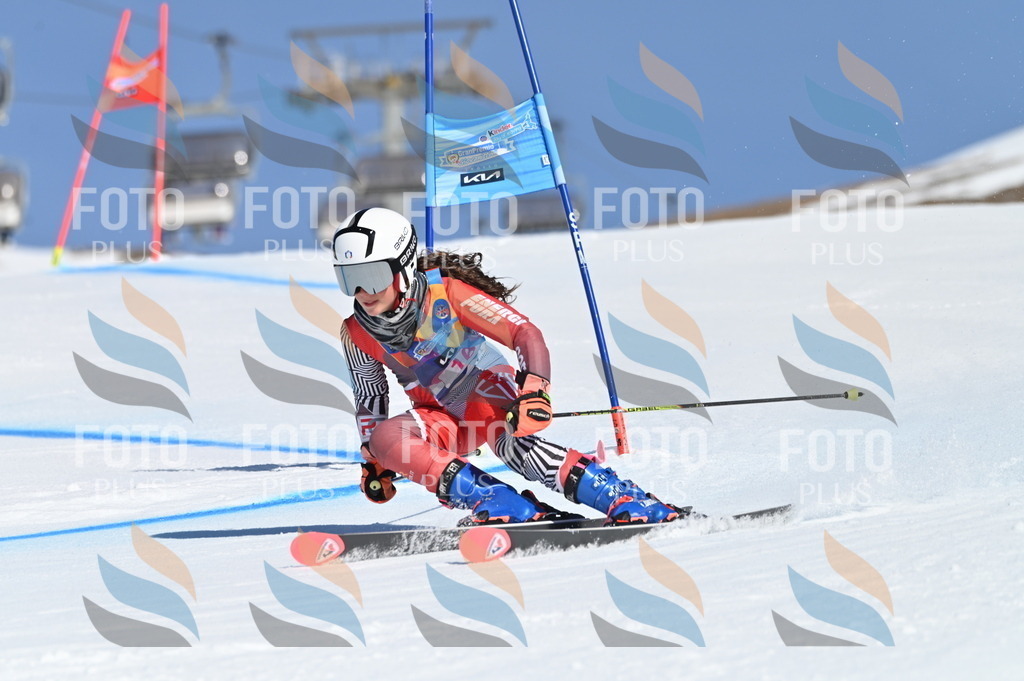 BGV_7875 | holidayphoto