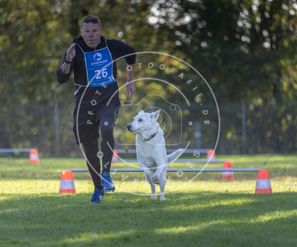 Pfotenfotografie.de_DV3A3001 | Hundefotografie, Tierfotograf, Pfotenfotografie, Fotoshooting Hund, Hunde Portrait, Hundesport, Hundeportraits, Heideshooting, Hunde, Sportfotograf, Hundefotograf, Turnierhundsport, THS, canicross - Realisiert mit Pictrs.com
