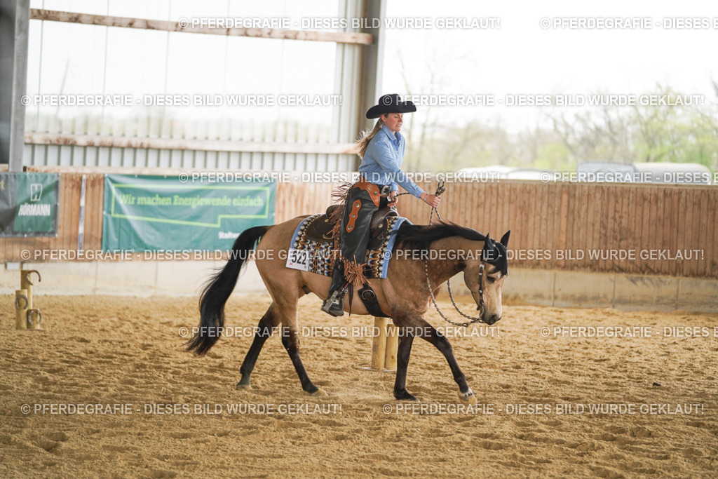 DSC03451 | Pferdegrafie