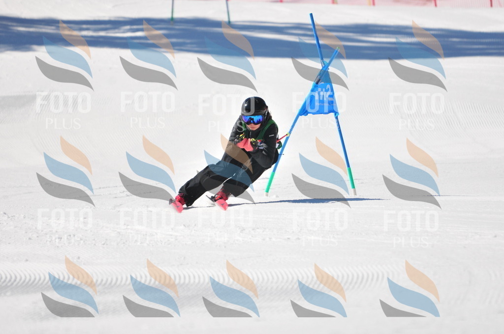 C3955 | holidayphoto