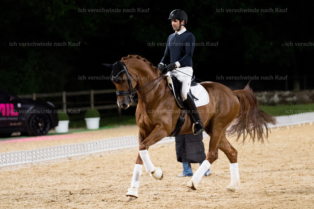 FHC2025 Isabell Werth-9899 | working equitationturnier fotograf videograf stoibphotography marixx film working equitation deutschland reitsport turnierfotografie eventfotografie equestrian events