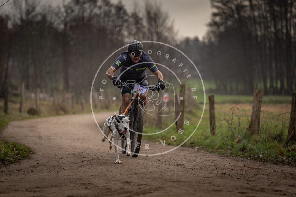 Pfotenfotografie_DV3A1732 | Hundefotografie, Tierfotograf, Pfotenfotografie, Fotoshooting Hund, Hunde Portrait, Hundesport, Hundeportraits, Heideshooting, Hunde, Sportfotograf, Hundefotograf, Turnierhundsport, THS,  - Realisiert mit Pictrs.com