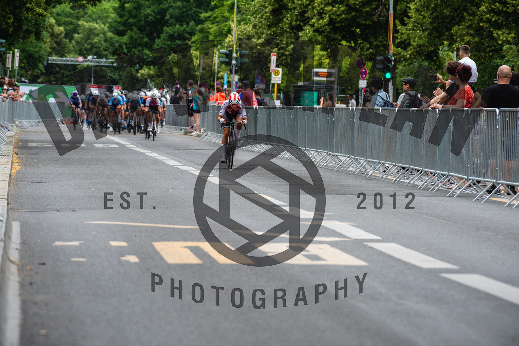 _DSC4397 | Drew Kaplan Photography