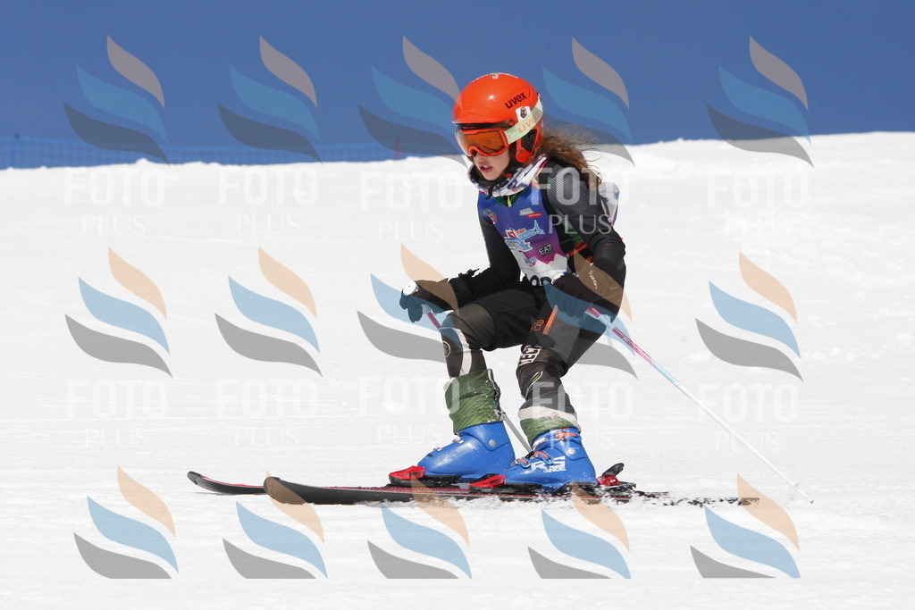 _W1G1867 | holidayphoto