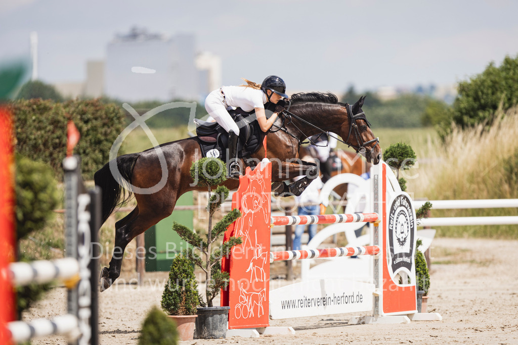 250629_PfSpTa_L-Spr2-426 | Deine schönsten Turniermomente als professionelle Fotos! Entdecke hochwertige Pferdesport-Fotografie im Online-Shop. Jetzt Fotos finden & bestellen!