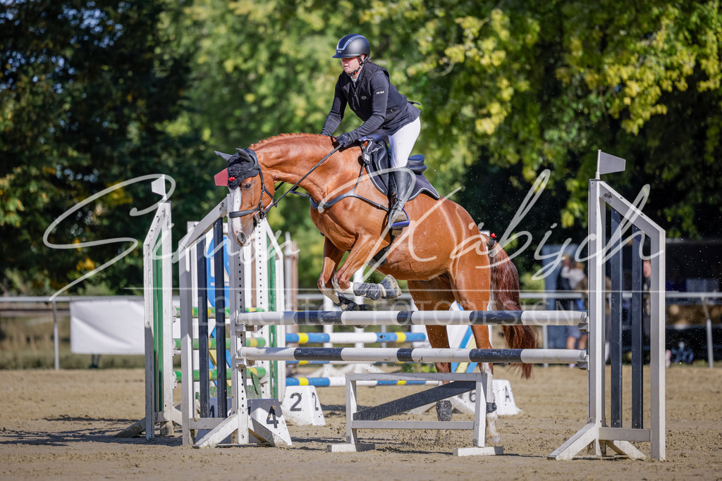 20250906-_3LI3299 | Tierfotografie Pferde, Hunde, Katzen, Haustiere.
Turnierfotografie Reitturniere, Reiten, Springreiten, Dressur in Hanau, dem Main-Kinzig-Kreis und dem Rhein-Main- Gebiet um Frankfurt