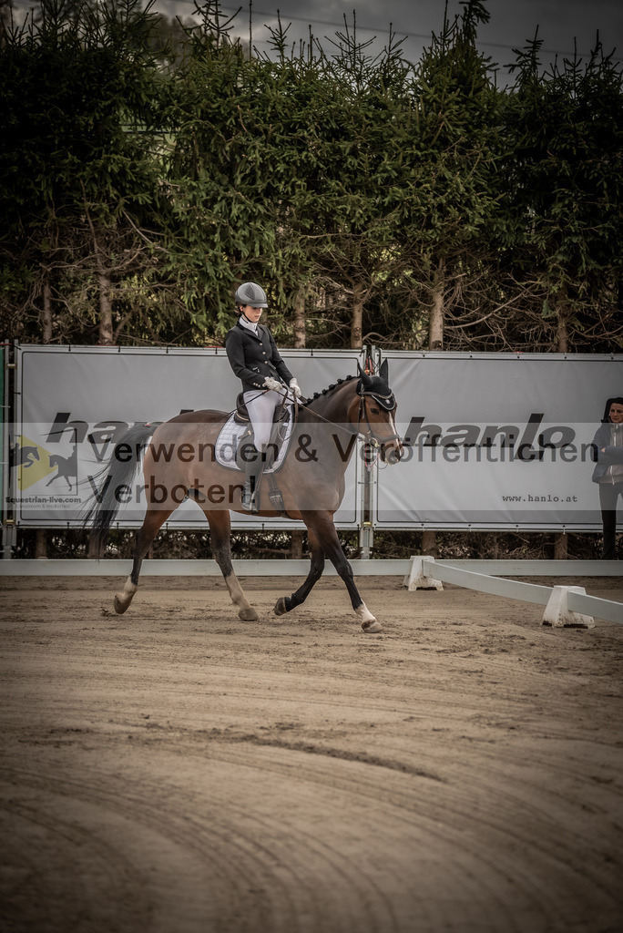 DSC_8157 | equestrian-live-com