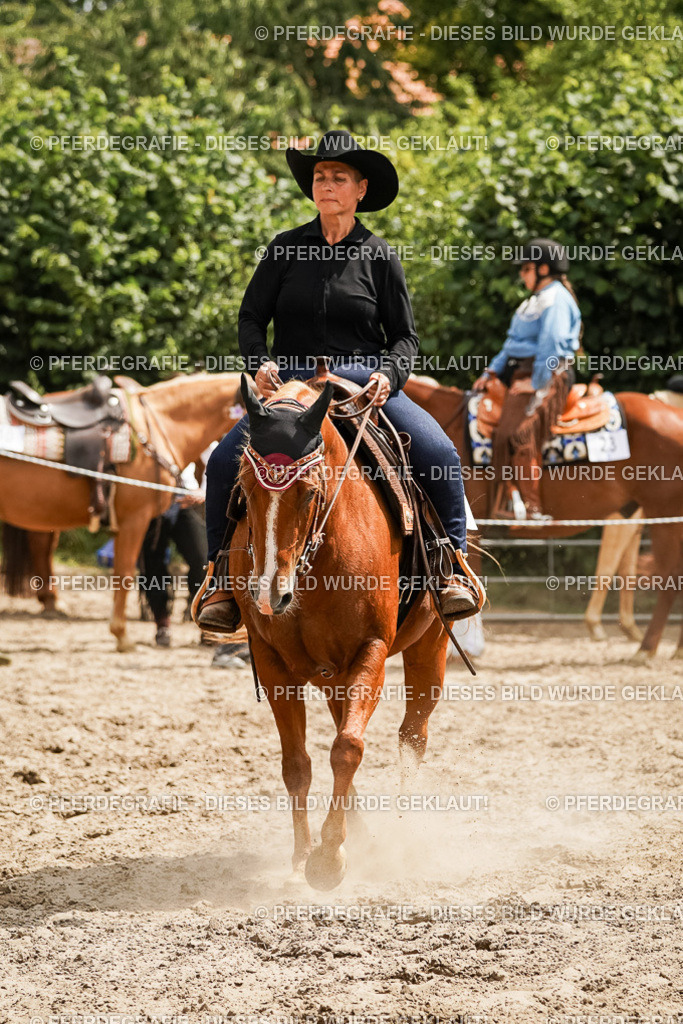 DSC00541 | Pferdegrafie