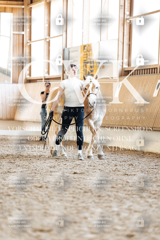 CK907327 | Turnierfotografie Pferdefotografie Trier Rheinland-Pfalz Pferdesport Reitsport Tierfotografie Sportfotografie Pferdevideo Pferdevideografie Equestrianvideography equestrianphotography  - Realisiert mit Pictrs.com