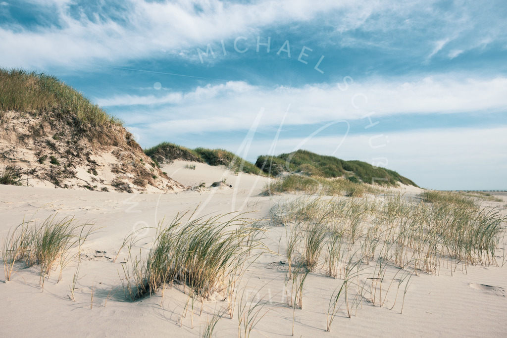 2021-07-24 Strand Duenen Moewen SPO - 026 | Dünen St. Peter-Ording - Realisiert mit Pictrs.com