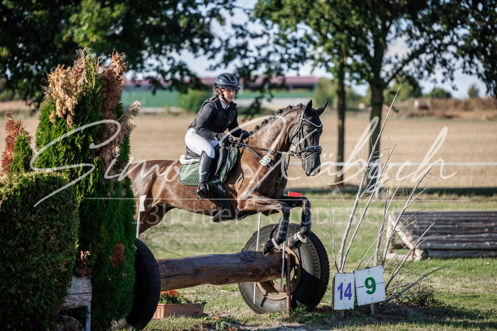 20260905-_3LI0655 | Tierfotografie Pferde, Hunde, Katzen, Haustiere.
Turnierfotografie Reitturniere, Reiten, Springreiten, Dressur in Hanau, dem Main-Kinzig-Kreis und dem Rhein-Main- Gebiet um Frankfurt