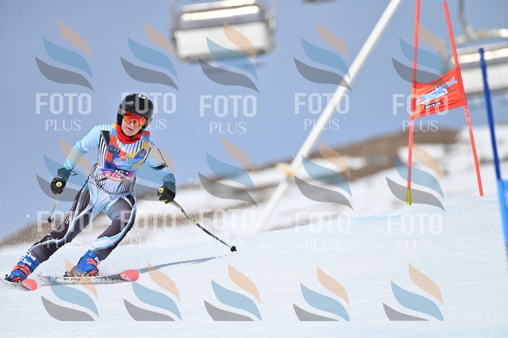 BGV_3815 | holidayphoto