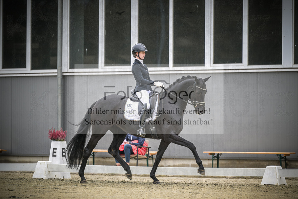 DOS_0610 | Entdecke hochwertige Reitturnierfotos von Foto Oger. Professionell, emotional und authentisch – jetzt Lieblingsmomente im Shop bestellen.Deutschlandweite Turnierfotografie. - Realisiert mit Pictrs.com