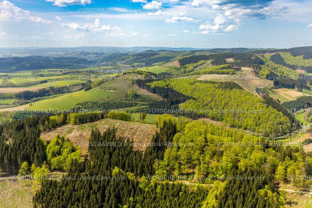 Schmallenberg240505707 | Luftbild, Hügellandschaft Mischwald Waldgebiet mit Waldschäden, Kalamitätsflächen,   Massenvermehrung von tierischen und pflanzlichen Schädlingen in Pflanzenkulturen, Oberkirchen, Schmallenberg, Sauerland, Nordrhein-Westfalen, Deutschland