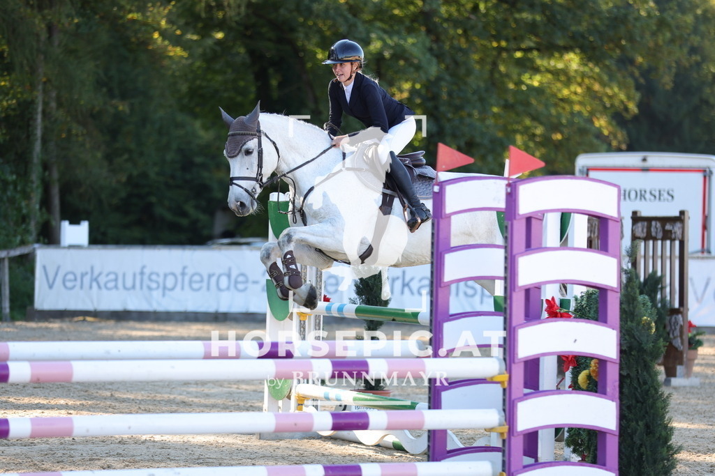 0P6A0904 | Willkommen bei Brunnmayr - Design & Fotografie – Ihrem Spezialisten für Reitturniere und Pferdeveranstaltungen in Oberösterreich, Salzburg und Bayern! Seit über 17 Jahren sind wir leidenschaftlich dabei.