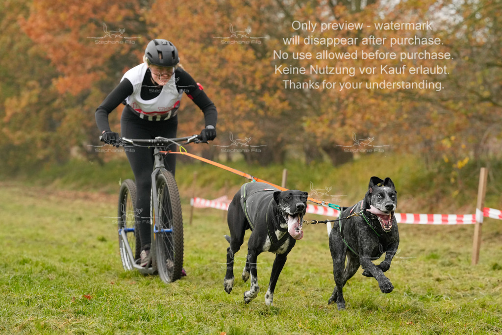 Visbeck_Sa_DS2DR2-45 | stephaniefillaphotographie - Realisiert mit Pictrs.com