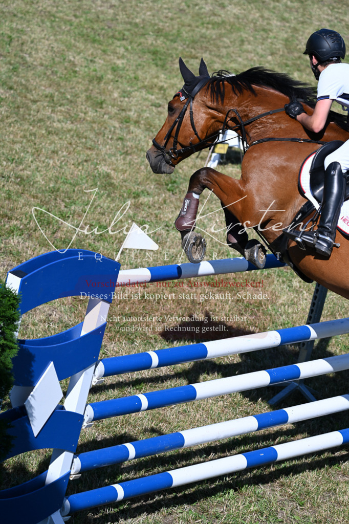 DSC_1918 | Pferde- und Turnierfotografie in Westsachsen. Pferdeportraits, Auftragszeichnungen und intuitive Kunst.