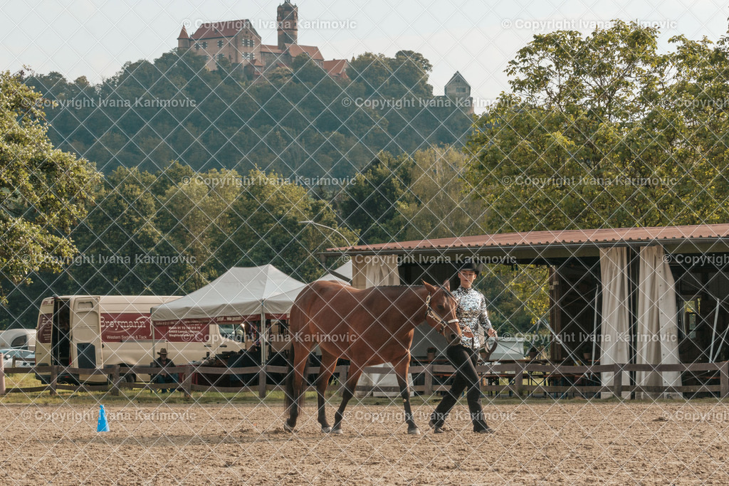 DSC02656 | ikphotography - Realisiert mit Pictrs.com